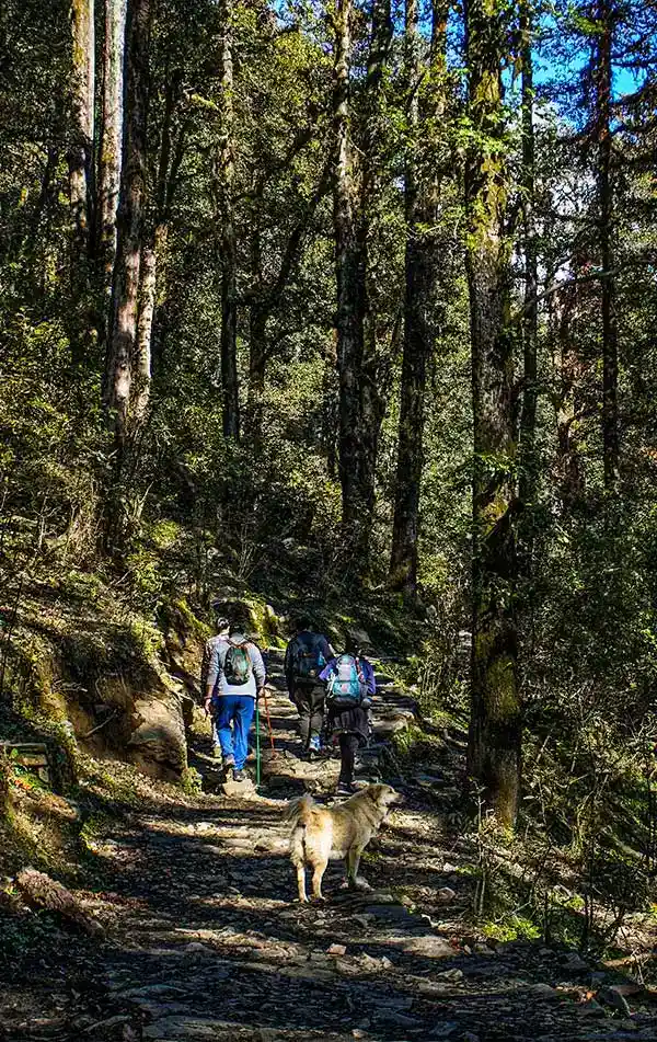 Dayara Bugyal Trek